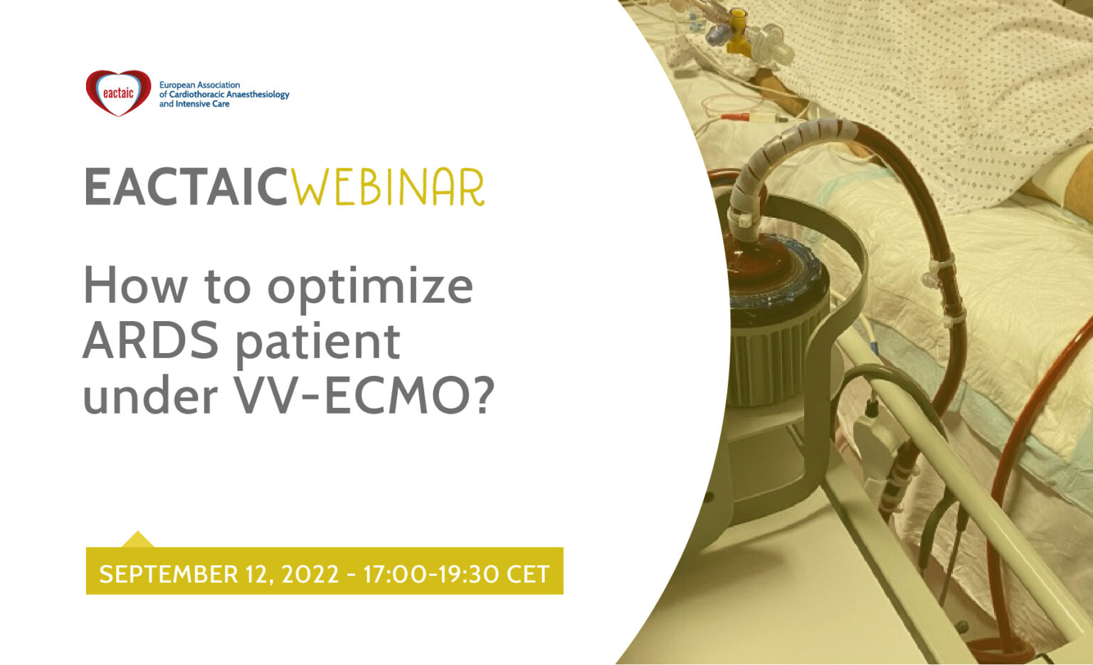 How to optimize ARDS patient under VV-ECMO?