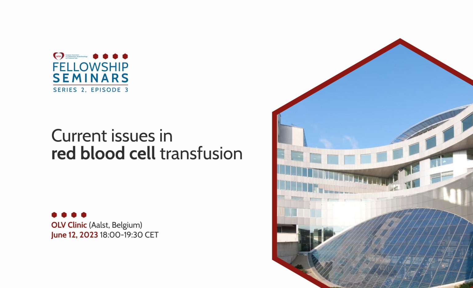 Current issues in red blood cell transfusion