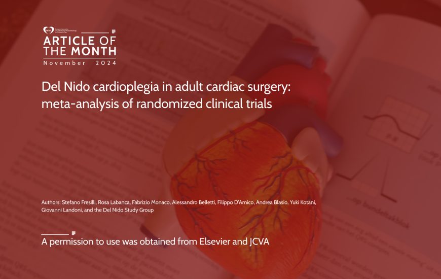 Article of the Month – November 2024