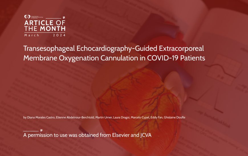 Article of the Month – March 2024
