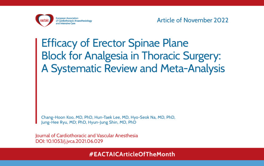 Article of the Month – November 2022
